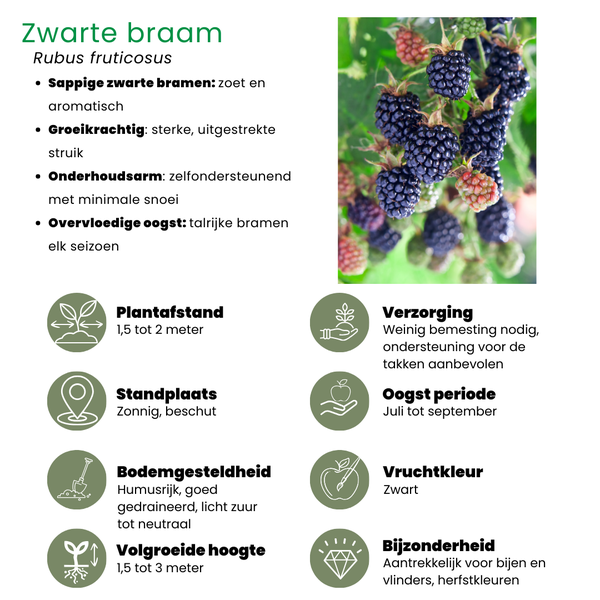 "Zoete oogst trio" BIO Fruitplanten mix set van 3 verschillende soorten