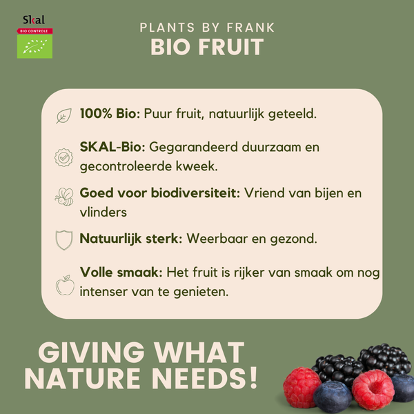 "Vruchtenparadijs" BIO Fruitplanten mix set van 4 verschillende soorten