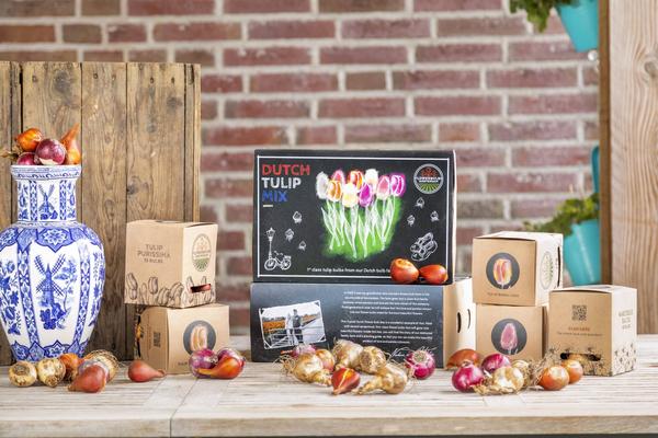 Flowerbulbs Amsterdam - Dutch Tulip Mix - Luxe box large, 90 bloembollen voor 2,5 m2 bloemenpracht - Maat 12+