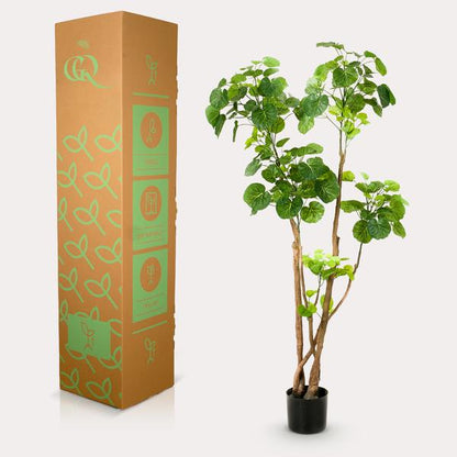 Kunstplant - Polyscias - Aralia - 135 cm