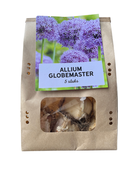 Globemaster - Allium bollen 5 stuks