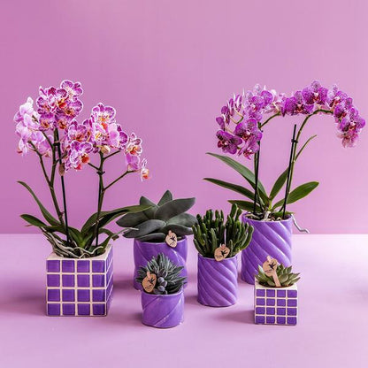 Kolibri Home | Candy sierpot - Lilac - Ø9cm