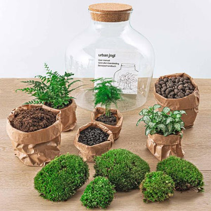 DIY terrarium - Fat Joe Groen - ↕ 30 cm - Rake + Shovel + Tweezer + Scissors