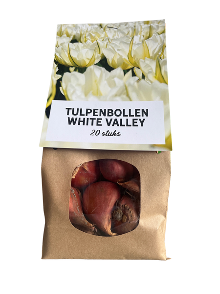 White valley - Tulpenbollen 20 stuks