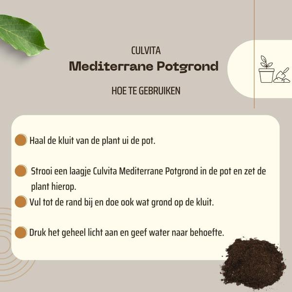 Culvita - Mediterrane Potgrond 40 Liter inclusief RhizoPlus - potgrond mediterrane planten o.a. geschikt voor olijfbomen, citrus en palmen