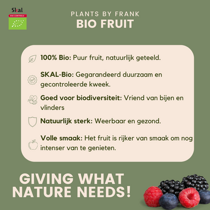 "Zoete oogst trio" BIO Fruitplanten mix set van 3 verschillende soorten