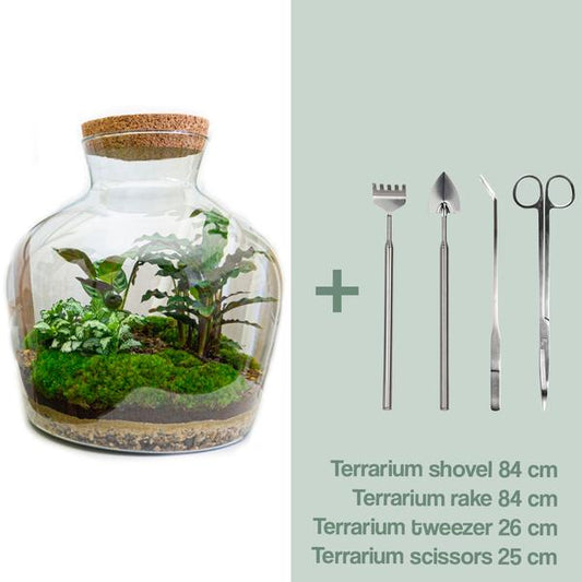 DIY terrarium -  Fat Joe - ↕ 30 cm - Rake + Shovel + Tweezer + Scissors