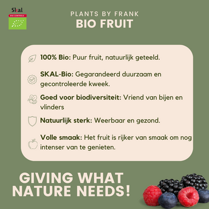 "Vruchten feestje" BIO Fruitplanten mix set van 3 verschillende soorten