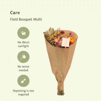 Droogbloemen Field Bouquet Multi - Ø15cm - ↕35cm