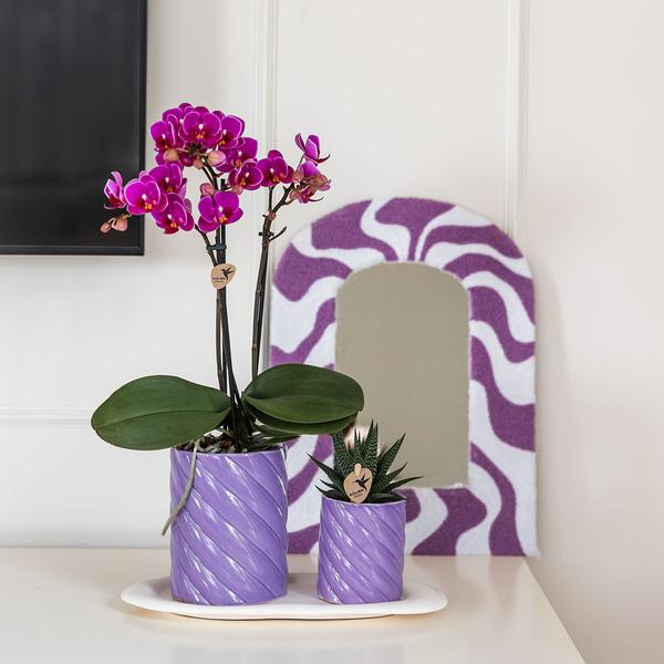 Kolibri Home | Candy sierpot | Hoog - Lilac - Ø9cm