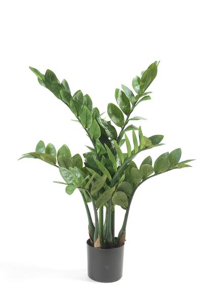 Kunstplant - Zamioculcas - Kamerpalm - 70 cm