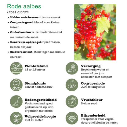 "Vruchtenparadijs" BIO Fruitplanten mix set van 4 verschillende soorten