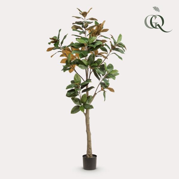 Kunstplant - Magnolia Grandiflora - 180 cm