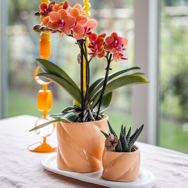 Kolibri Home | Candy sierpot - Peach - Ø9cm