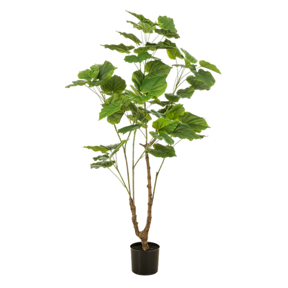 Kunstplant - Ficus umbellate - Afrikaanse vijg - 125cm