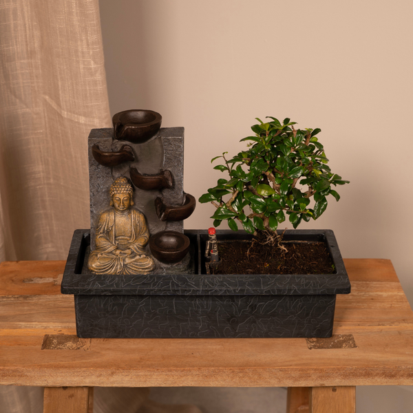 Bonsai Waterval (budha) - Ø15cm - ↕30cm