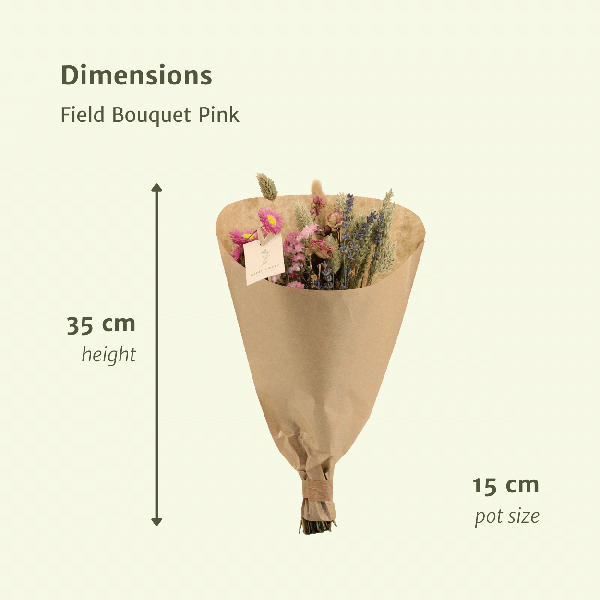 Droogbloemen Field Bouquet Pink - Ø15cm - ↕35cm