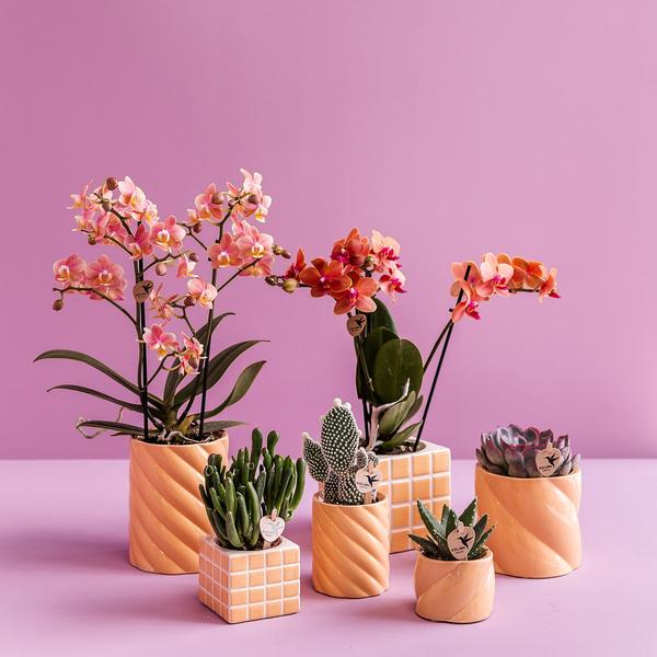 Kolibri Home | Candy sierpot - Peach - Ø9cm