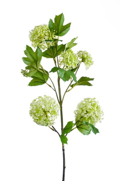 Kunstbloemen Solo - Crème - Viburnum Opulus Branches - x 4 - 75cm