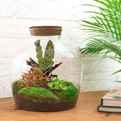 DIY terrarium - Fat Joe Rood - ↕ 30 cm - Rake + Shovel + Tweezer + Scissors