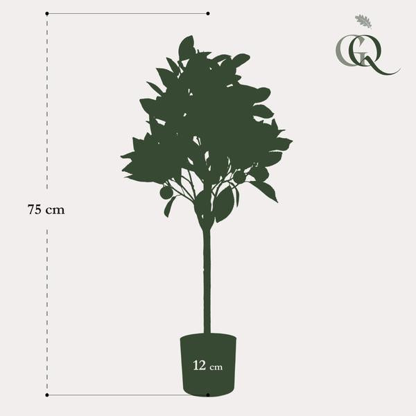 Kunstplant - Citrus Sinensis - Sinaasappelboom - 75 cm