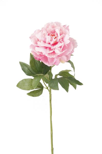 Kunstbloemen Solo - Light Pink - Peonies - x 5 - 65cm