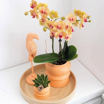 Kolibri Home | Ornament - Decoratie beeld Toucan - Peach