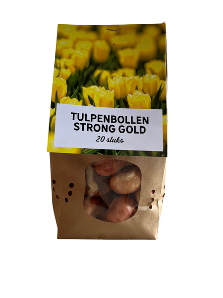 Strong gold - Tulpenbollen 20 stuks