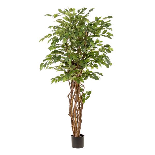 kunstplant - Ficus liana  - Vioolbladplant - 170cm