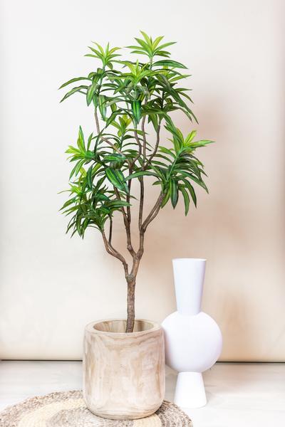 Kunstplant - Dracaena - Drakenboom - 155 cm