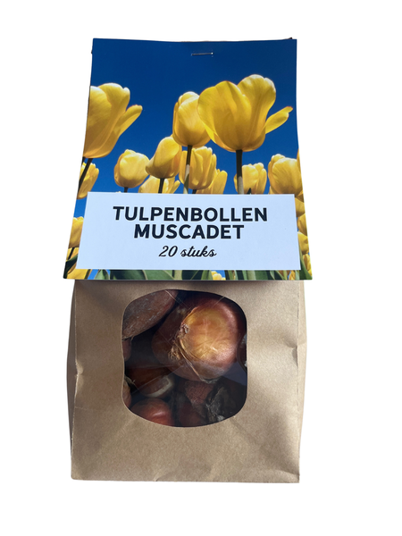 Muscadet - Tulpenbollen 20 stuks