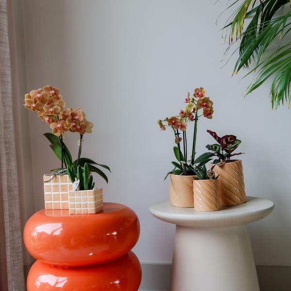 Kolibri Home | Candy sierpot | Hoog - Peach - Ø9cm