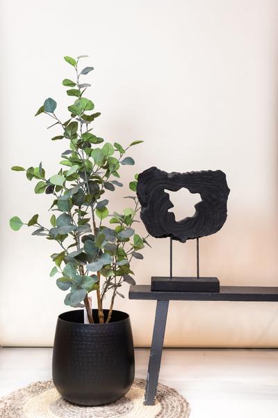 Kunstplant - Eucalyptus - Blauwe Gomboom  - 120 cm