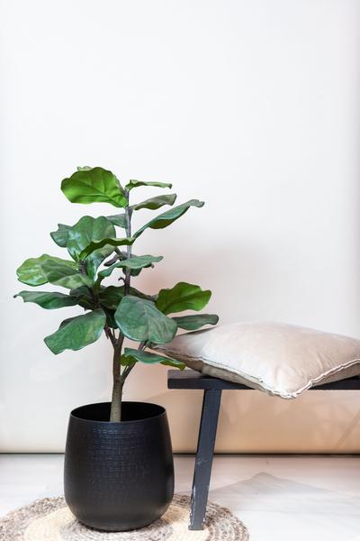 Kunstplant - Ficus Lyrata - Tabaksplant - 90 cm