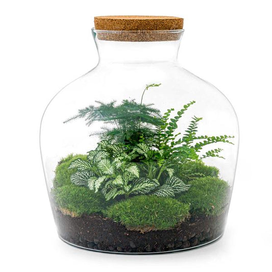 DIY terrarium - Fat Joe Groen - ↕ 30 cm - Rake + Shovel + Tweezer + Scissors