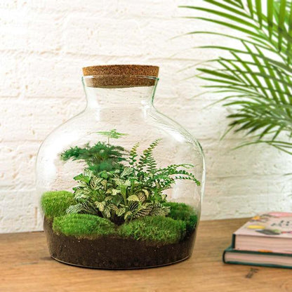 DIY terrarium - Fat Joe Groen - ↕ 30 cm - Rake + Shovel + Tweezer + Scissors