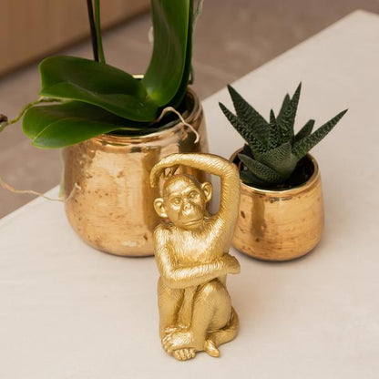 Kolibri Home | Ornament - Decoratie beeld Sitting Monkey - Gold