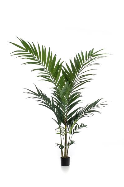 Kunstplant - Kentia -Kentiapalm - 150cm