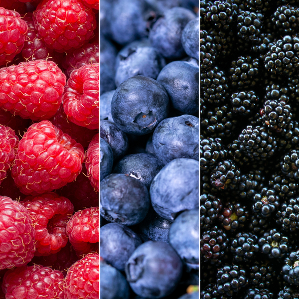 "Vruchten feestje" BIO Fruitplanten mix set van 3 verschillende soorten