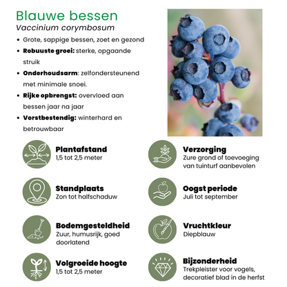 "Vruchten feestje" BIO Fruitplanten mix set van 3 verschillende soorten