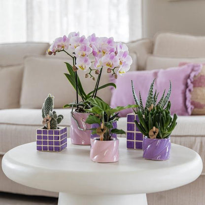 Kolibri Home | Candy sierpot - Lilac - Ø6cm