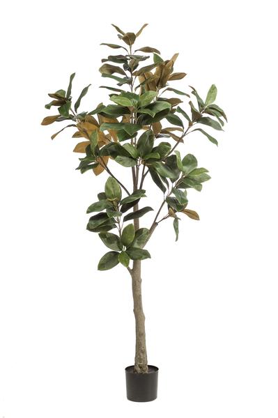 Kunstplant - Magnolia Grandiflora - 180 cm