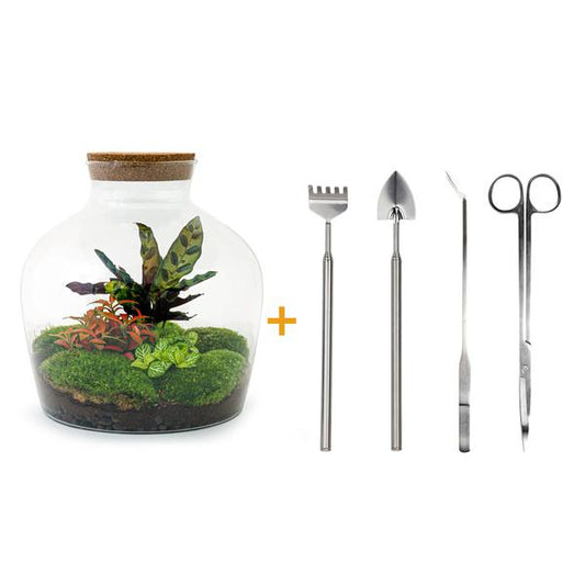 DIY terrarium - Fat Joe Rood - ↕ 30 cm - Rake + Shovel + Tweezer + Scissors