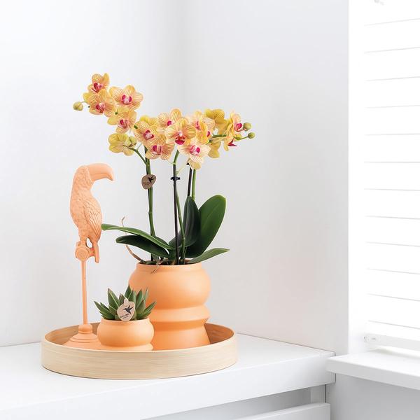 Kolibri Home | Ornament - Decoratie beeld Toucan - Peach