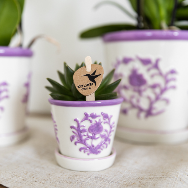 Kolibri Home I Malaga pot - Lilac - Ø6cm