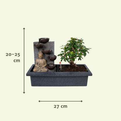 Bonsai Waterval (budha) - Ø15cm - ↕30cm