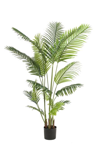 Kunstplant - Howea Forsteriana  - 160 cm