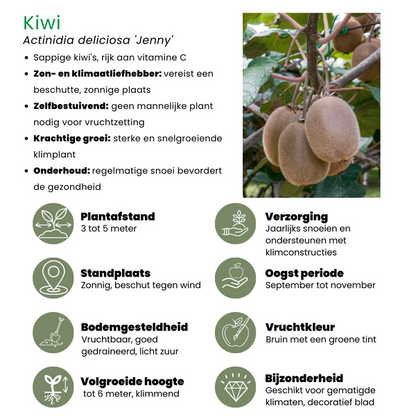 "Zoete oogst trio" BIO Fruitplanten mix set van 3 verschillende soorten