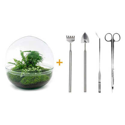 DIY terrarium - Dome XL - ↕ 30 cm - Rake + Shovel + Tweezer + Scissors