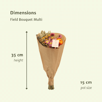 Droogbloemen Field Bouquet Multi - Ø15cm - ↕35cm